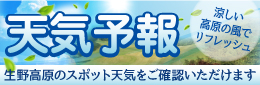 天気予報